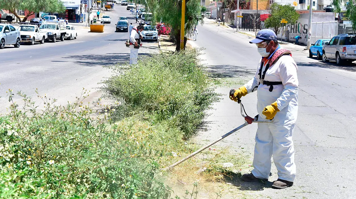 poda de hierba